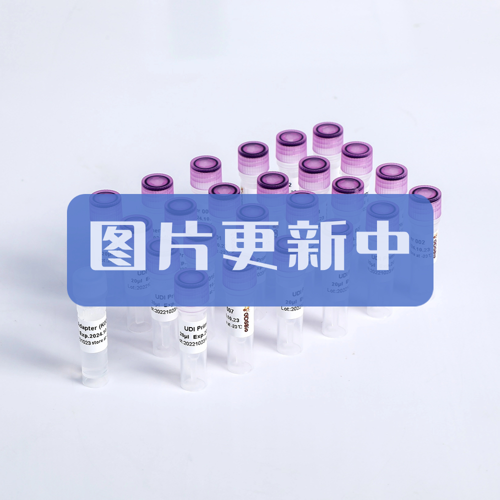 GDS Fragmentation & End Prep Module #K023