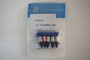 6×單色DNA上樣緩沖液（M9051）