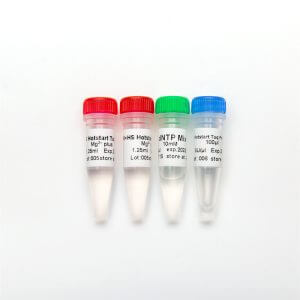 HS Hotstart Taq Polymerase
