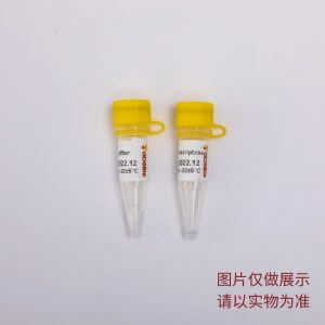 Pro Multiplex Probe qPCR Mix