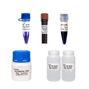 DNA電泳產品套裝II